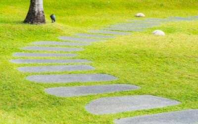 Primeros pasos en RPA